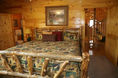 The Cozy Bearz Cabin,  A place to relax and have a Great time!