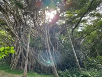 Kanaka Village فنادق في أوغاساوارا
