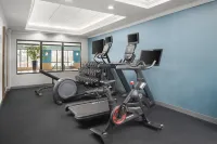 Hampton Inn Chicopee/Springfield - Gym