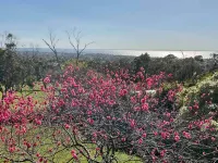 Beaches / Family Getaway / Amazing views / Golf / Wineries / Hot springs.