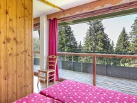 V du Bachat Asters E Station de Chamrousse附近的飯店