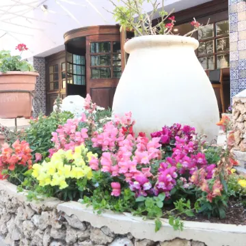 Jerusalem Gold Hotel