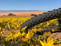 Klein-Aus Vista Desert Horse Campsite Hotels in Aus