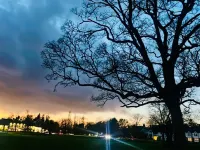 GerrardsCross - Stay4 - Parking - Petsok - Wembley Hotels in Gerrards Cross