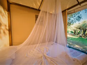 Holiday Park Olive Tree