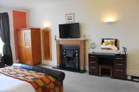 더 올리브 브랜치