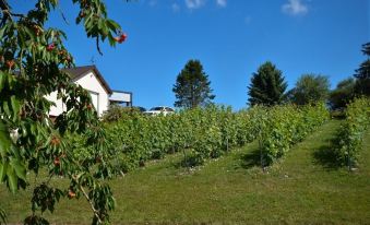 Le Clos du Moulin