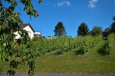 Le Clos du Moulin Hotels in Verzy