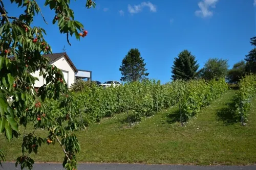 Le Clos du Moulin Hôtels à : Marne