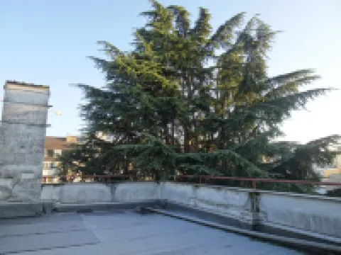 Gästehaus Grupello