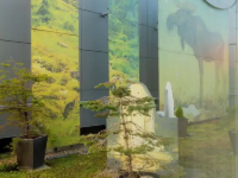 Best Western Plus John Bauer Hotel Hotels in Jönköping