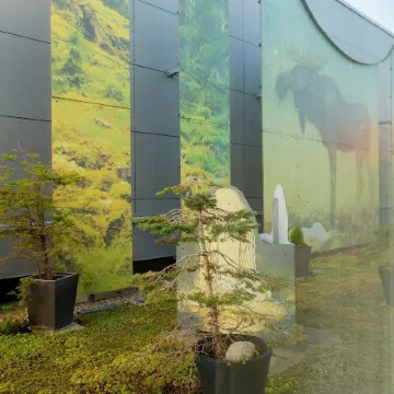 Best Western Plus John Bauer Hotel