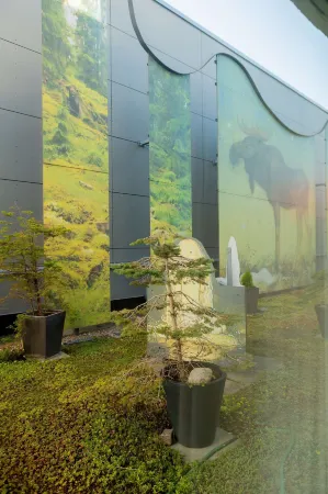 Best Western Plus John Bauer Hotel Отели в г. Йёнчёпинг