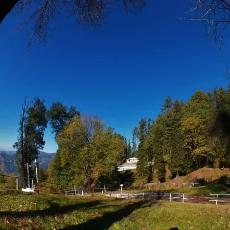Jungle Castle Murree