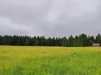 Forest Escape with Terrace Hotels in Eisfeld