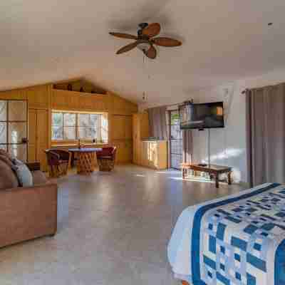 Casa Las Palmas & Suites, San Miguel de Allende Rooms