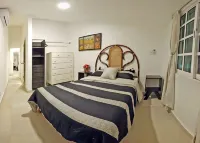 HominngBird Acapulco