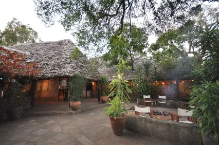 Fig Tree Camp - Maasai Mara Отели в г. Talek
