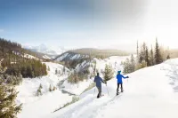 Homey Atmosphere and Enclosed Garage - Charming Modern Retreat Hotels in Evergreen