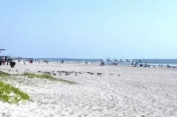 Steps to Beach with Spacious Living and Kitchen - Tropical Escape Hoteles en Cocoa Beach