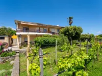 Marija Hotels in Opric