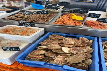 Villa Juliette - Beach and cliffs for the whole family