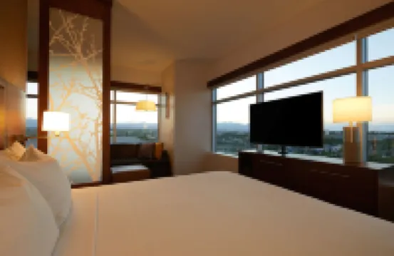 拉斯維加斯銀頓村凱悦嘉軒酒店 拉斯維加斯酒店