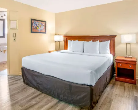 Econo Lodge Inn & Suites Hotels in Durango