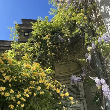 Cocooning Avignon