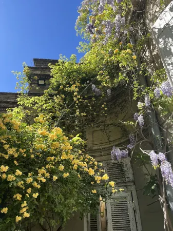 Cocooning Avignon Отели рядом с достопримечательностью «Mairie d'Avignon»