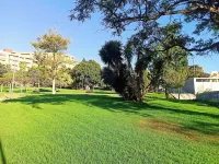Light-Flooded Loft in Santa Cruz
