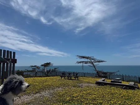 Spectacular Oceanfront, massive fenced yard, with Spa Mendocino Coast in Gualala