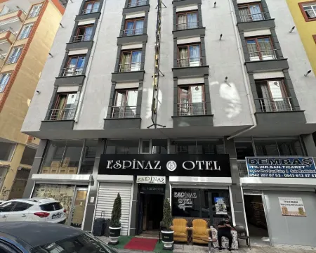 Espinaz Apart Otel Hotels in Van