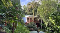 Cashew Nut Grove Chalets