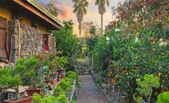 Diorem Pension