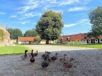 Château d'Aigneville Hotel a Behen