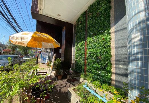 3. 신키앗 타니 호..