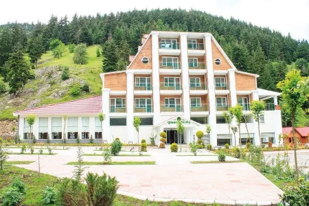 Hotel Green Valley Savsat Отели в г. Yukarikoyunlu Koyu