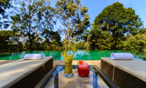 Wayanad Wild - A CGH Earth Experience
