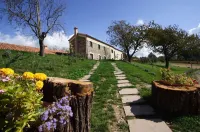 La Rosa Nel Bicchiere Hotels in 