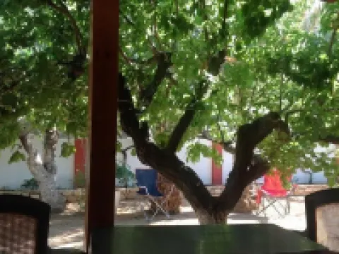 Hotel Petras Beach Hotels in Sitia