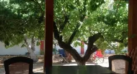 Hotel Petras Beach Hotels in Vigla
