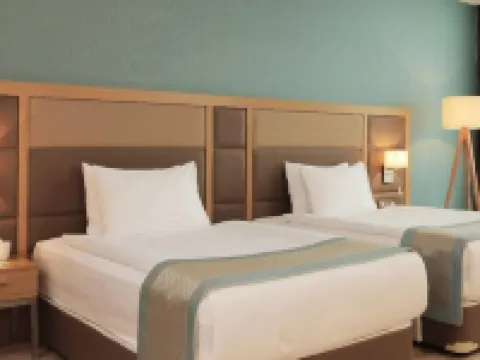 ザ アンカラ ホテル アンカラのホテル