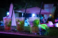 Les Canisses Hotels in Vernon