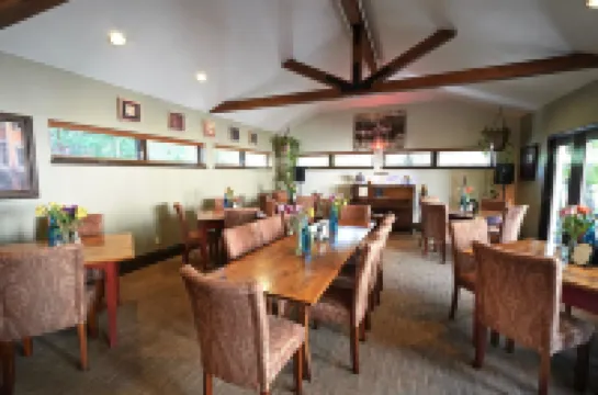 フリスコ イン ガリーナ ストリート フリスコのホテル