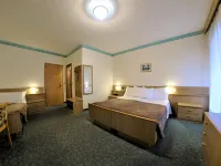 Active Hotel Rosat Hotels in Predazzo
