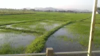 ثري مونز هوم ستاي