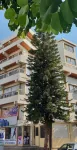 Nex Hostel Các khách sạn ở Strovolos