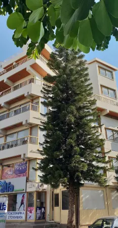 Nex Hostel