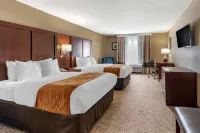 Comfort Inn & Suites Hotels in Muncie